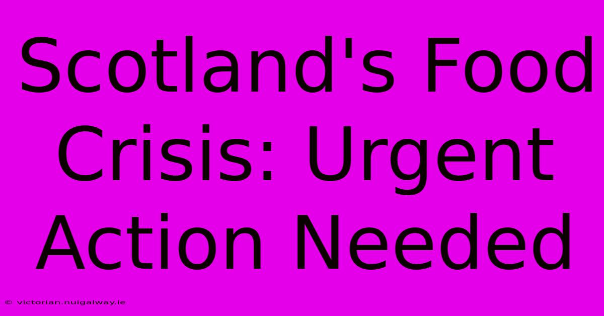 Scotland's Food Crisis: Urgent Action Needed