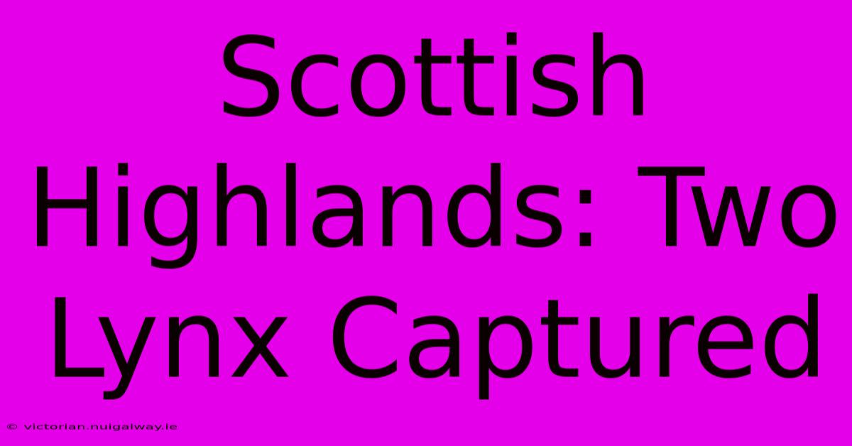 Scottish Highlands: Two Lynx Captured