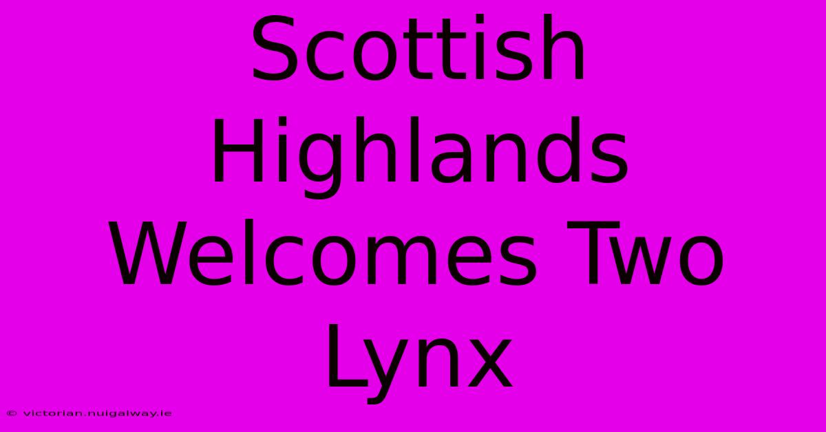 Scottish Highlands Welcomes Two Lynx