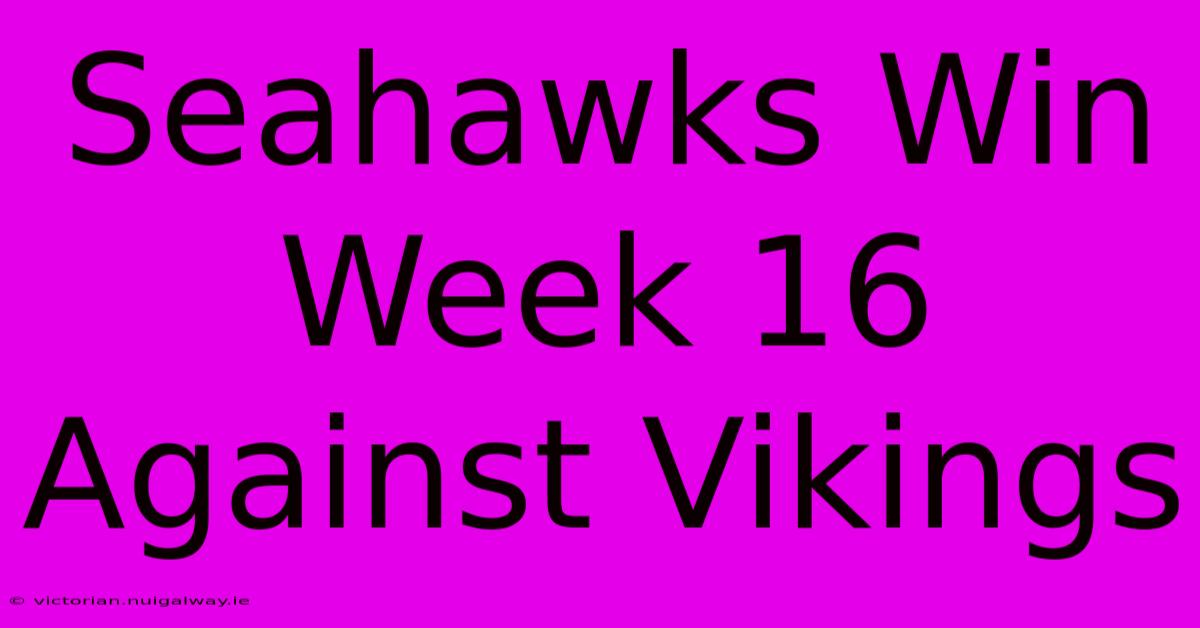 Seahawks Win Week 16 Against Vikings