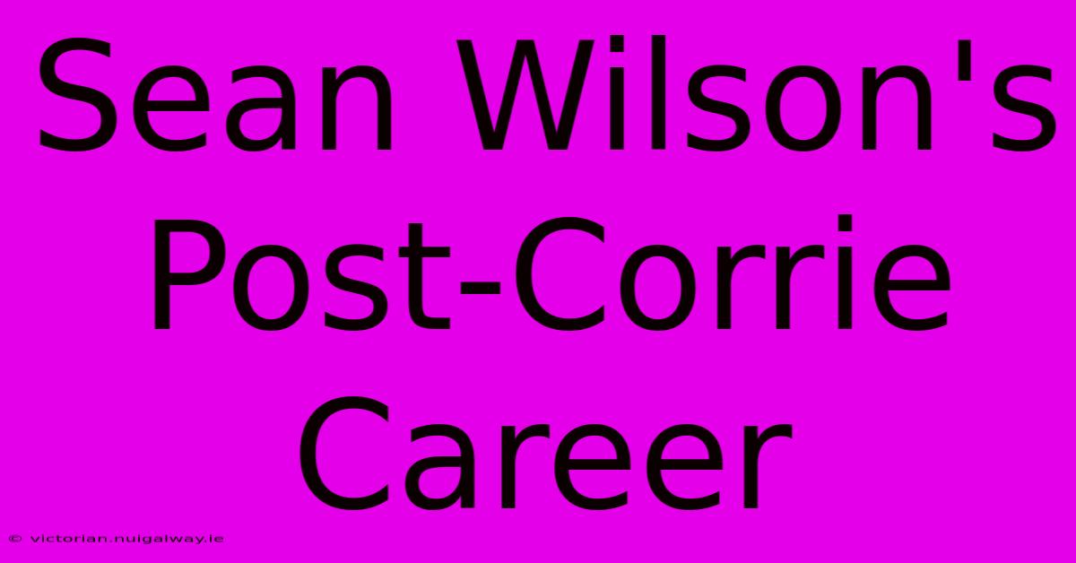 Sean Wilson's Post-Corrie Career