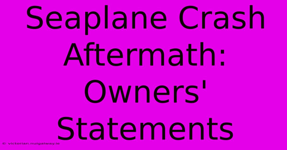 Seaplane Crash Aftermath: Owners' Statements