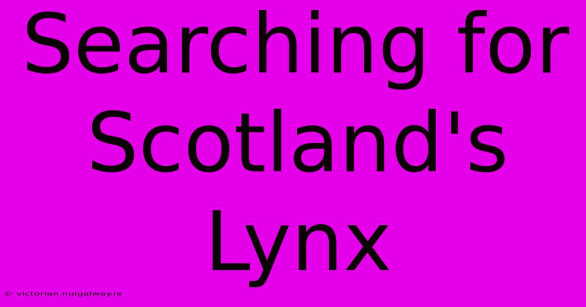 Searching For Scotland's Lynx