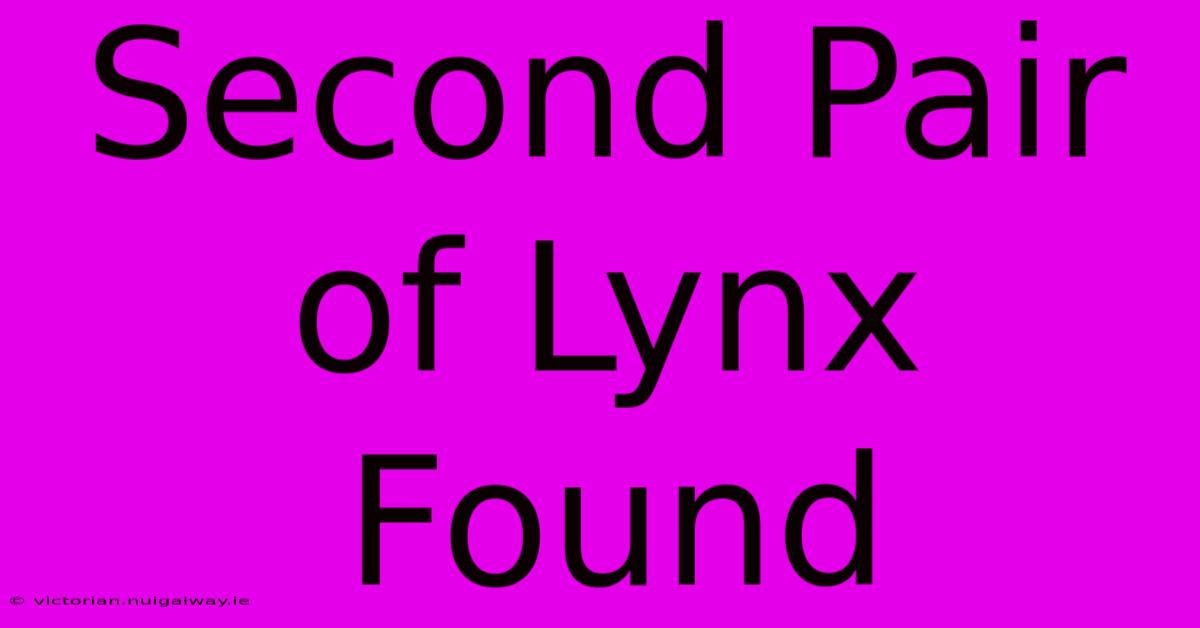 Second Pair Of Lynx Found