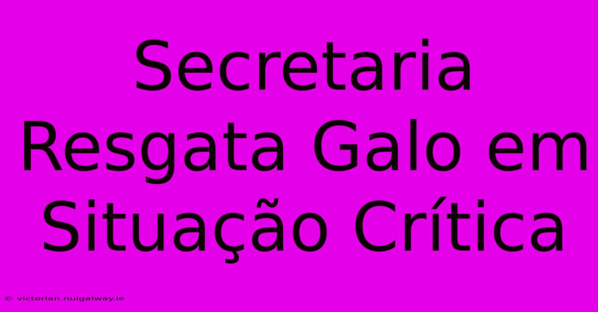 Secretaria Resgata Galo Em Situação Crítica