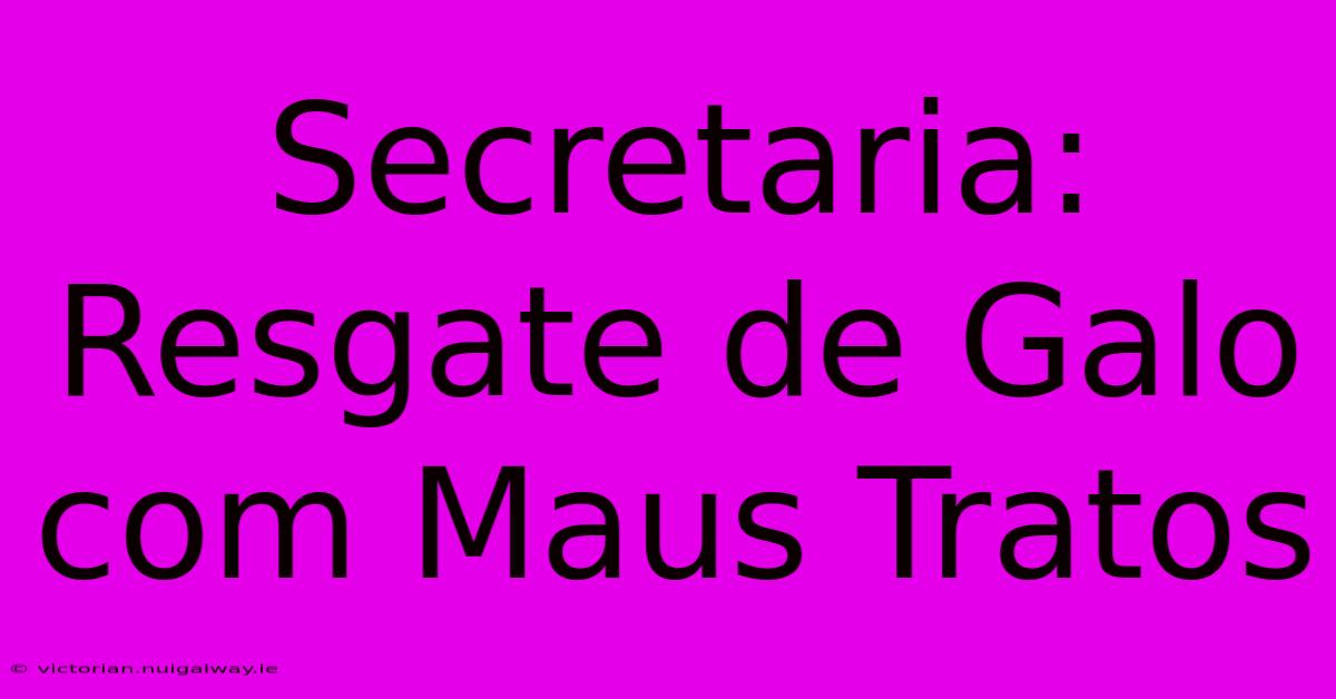 Secretaria: Resgate De Galo Com Maus Tratos 