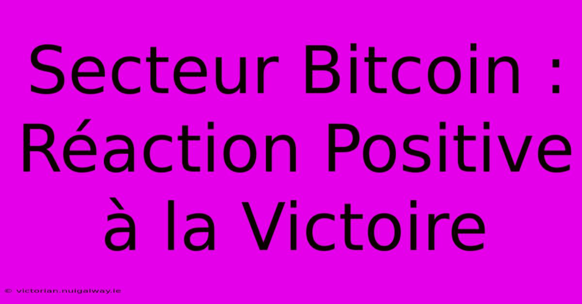 Secteur Bitcoin : Réaction Positive À La Victoire