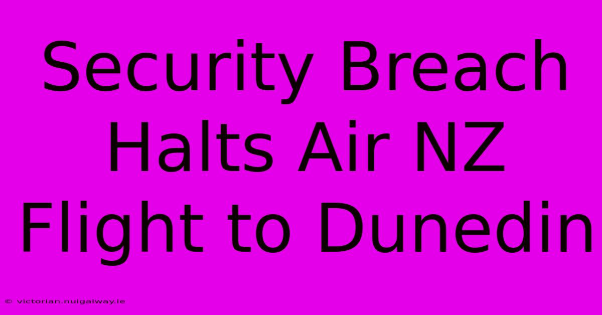 Security Breach Halts Air NZ Flight To Dunedin