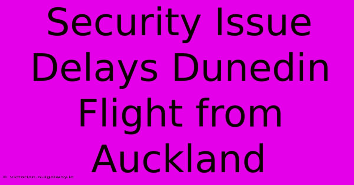 Security Issue Delays Dunedin Flight From Auckland