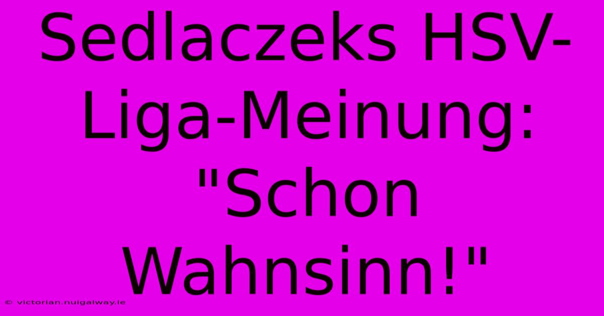 Sedlaczeks HSV-Liga-Meinung: 