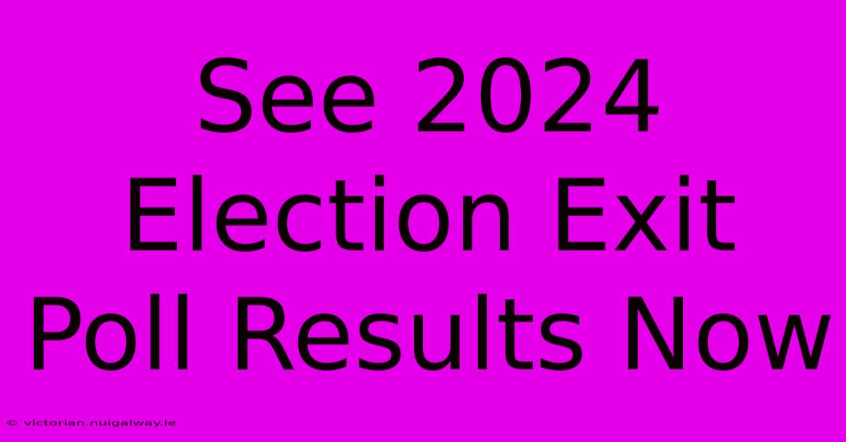 See 2024 Election Exit Poll Results Now