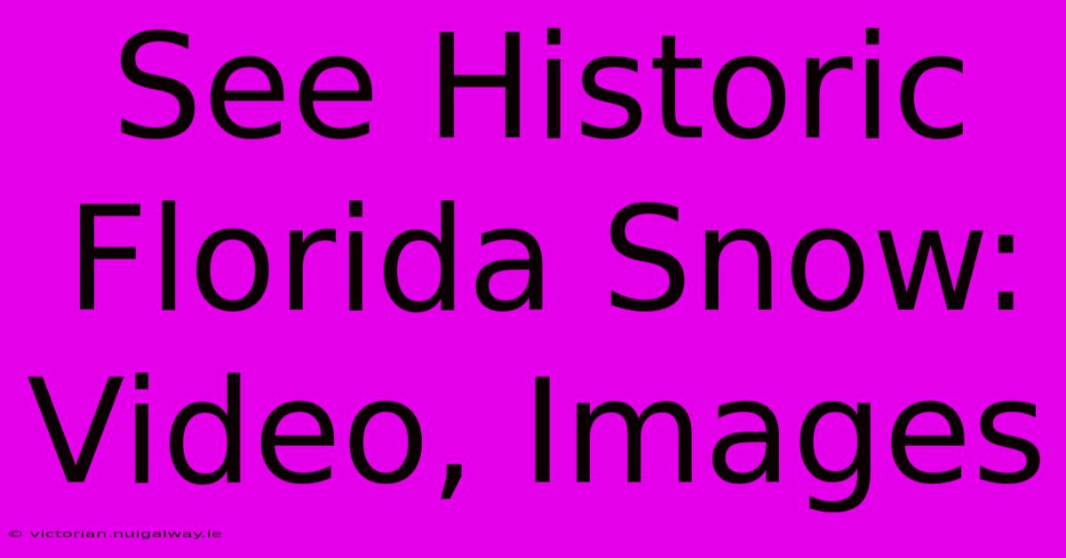 See Historic Florida Snow: Video, Images