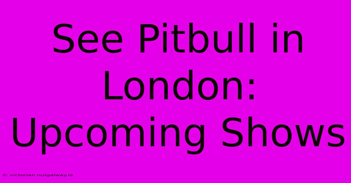 See Pitbull In London: Upcoming Shows