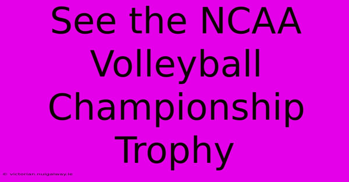 See The NCAA Volleyball Championship Trophy