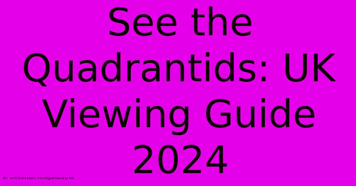 See The Quadrantids: UK Viewing Guide 2024