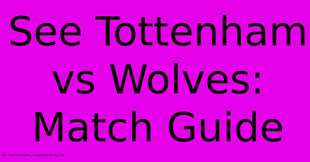 See Tottenham Vs Wolves: Match Guide