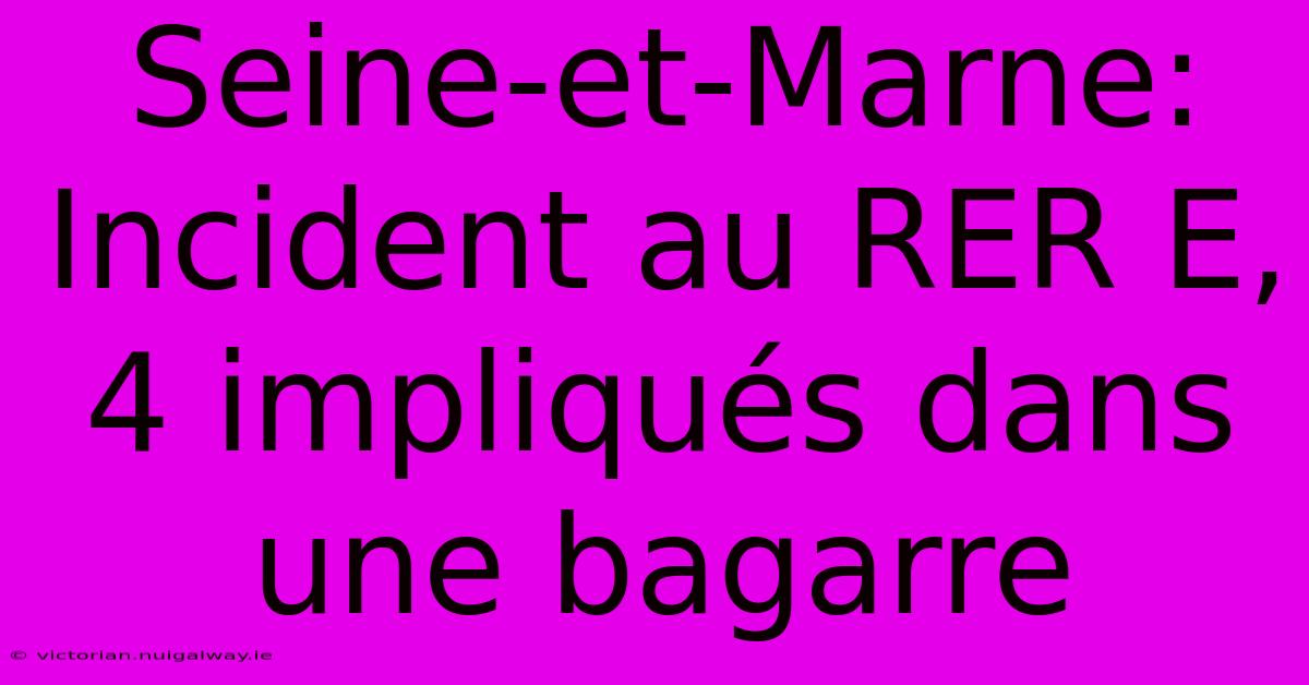 Seine-et-Marne: Incident Au RER E, 4 Impliqués Dans Une Bagarre