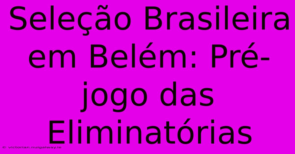 Seleção Brasileira Em Belém: Pré-jogo Das Eliminatórias