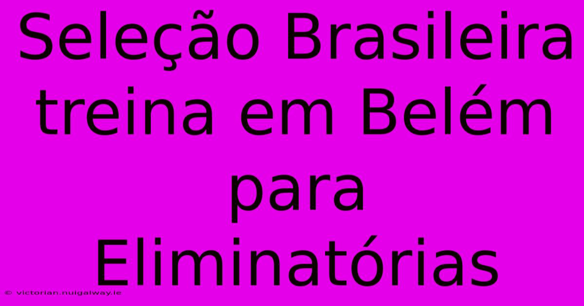 Seleção Brasileira Treina Em Belém Para Eliminatórias 