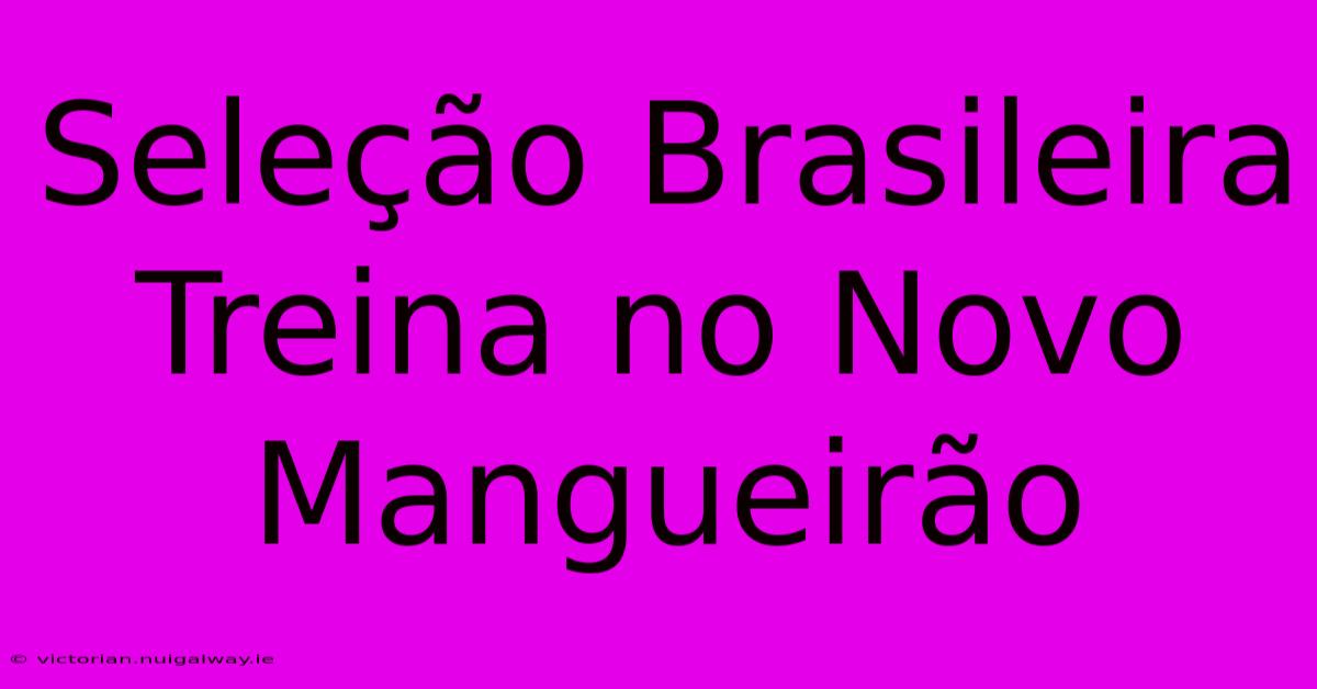 Seleção Brasileira Treina No Novo Mangueirão