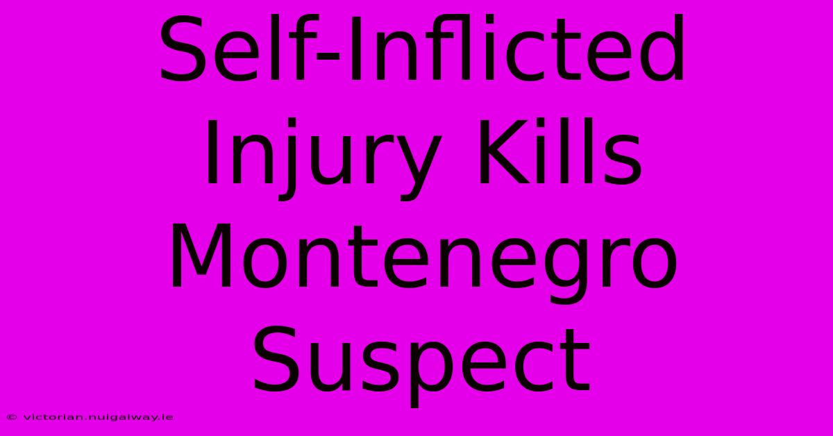 Self-Inflicted Injury Kills Montenegro Suspect