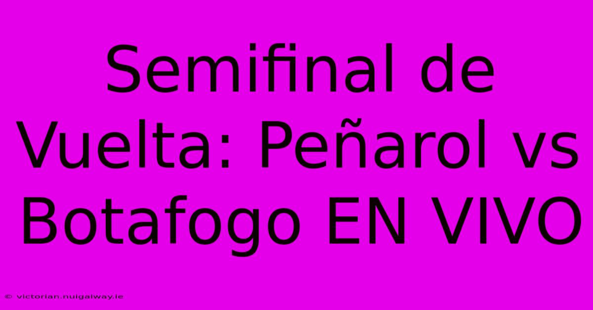 Semifinal De Vuelta: Peñarol Vs Botafogo EN VIVO