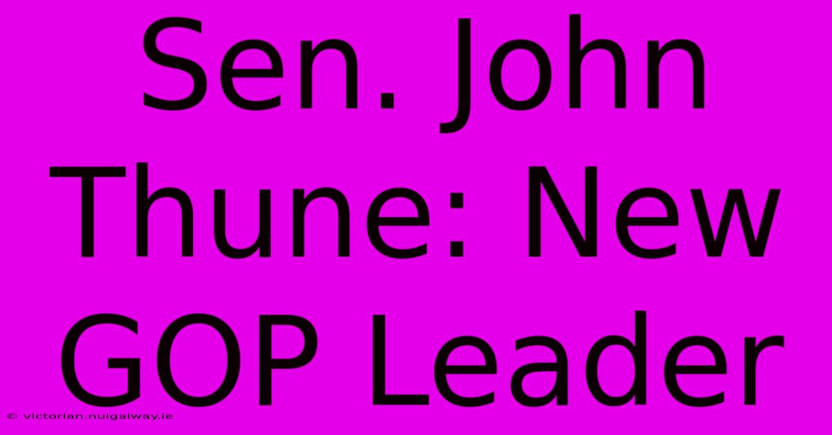 Sen. John Thune: New GOP Leader