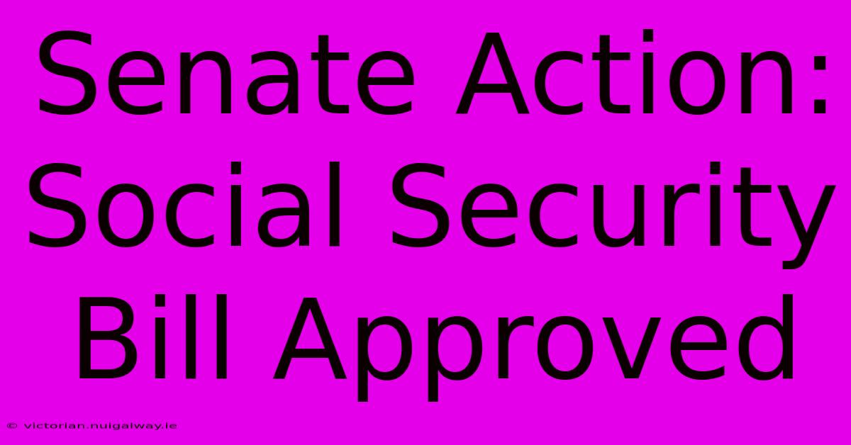 Senate Action: Social Security Bill Approved