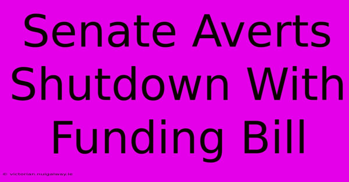 Senate Averts Shutdown With Funding Bill