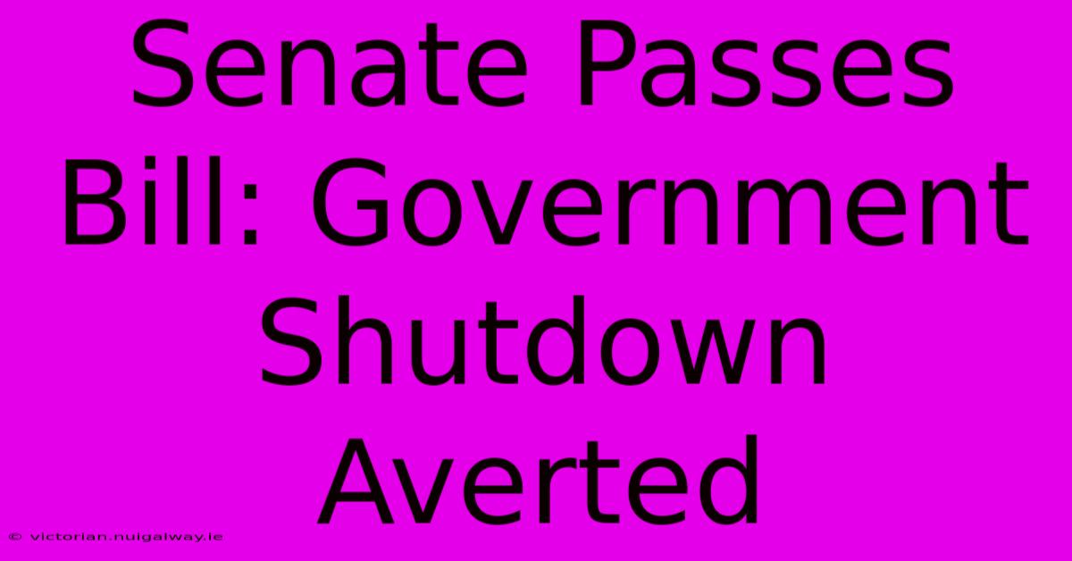 Senate Passes Bill: Government Shutdown Averted