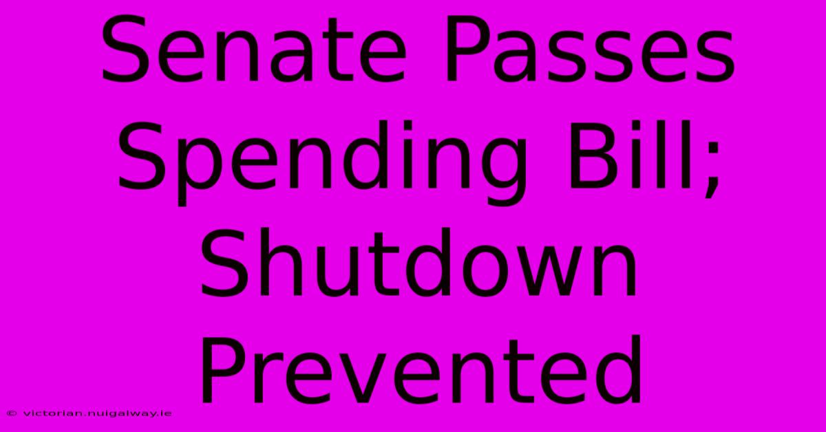 Senate Passes Spending Bill; Shutdown Prevented