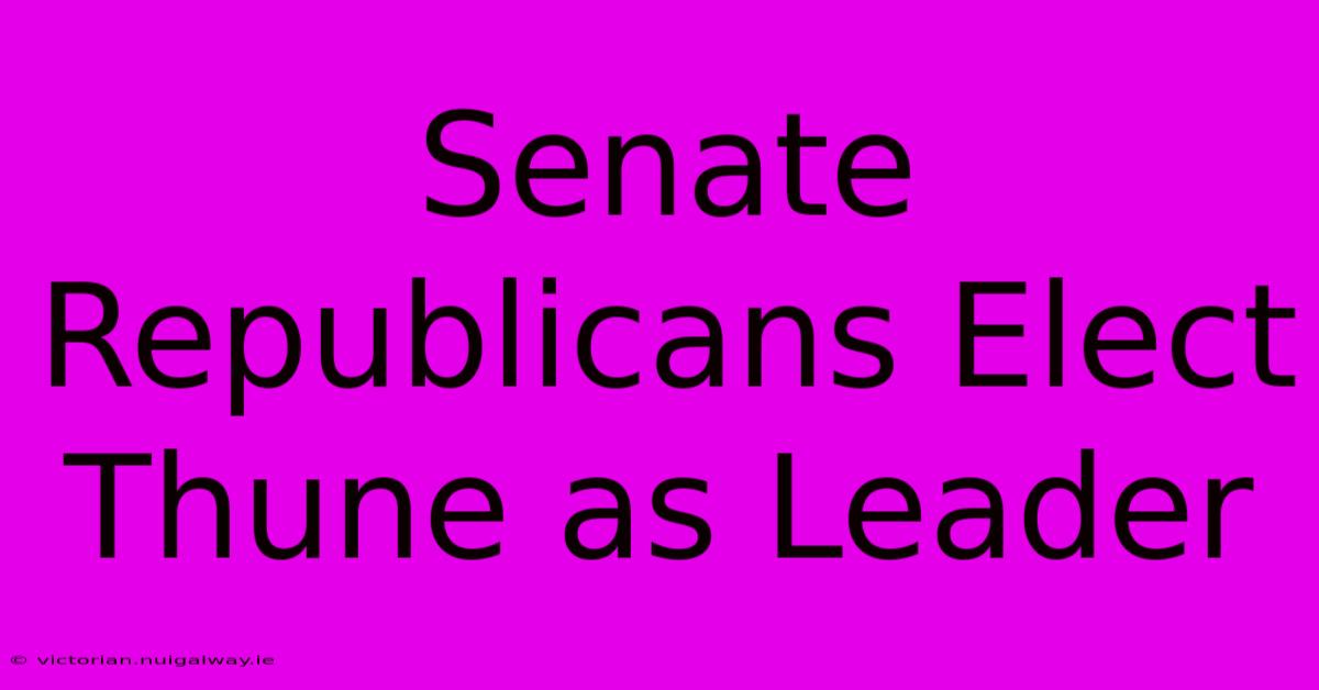 Senate Republicans Elect Thune As Leader 