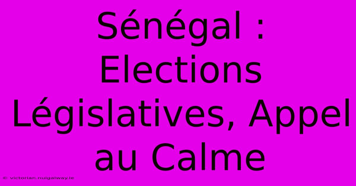 Sénégal : Elections Législatives, Appel Au Calme