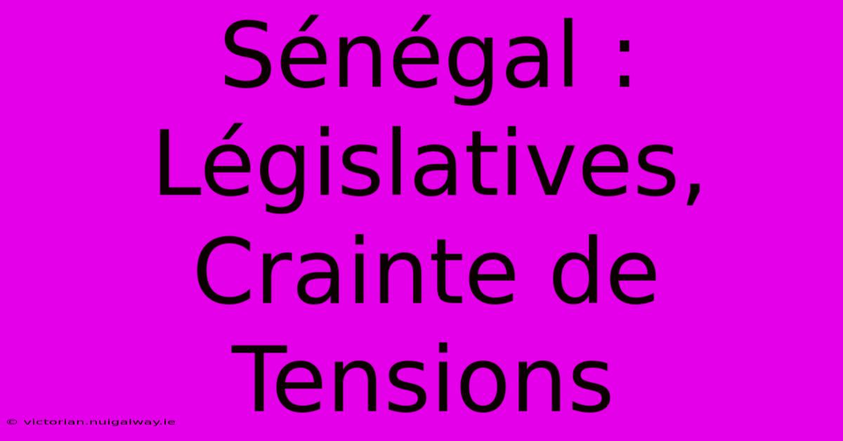 Sénégal :  Législatives,  Crainte De Tensions