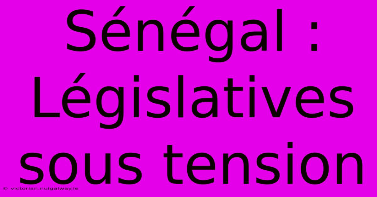 Sénégal : Législatives Sous Tension