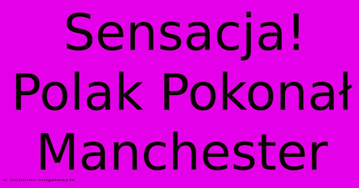 Sensacja! Polak Pokonał Manchester