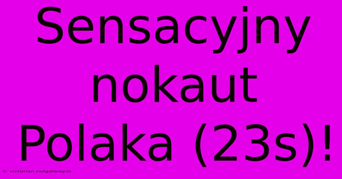 Sensacyjny Nokaut Polaka (23s)!