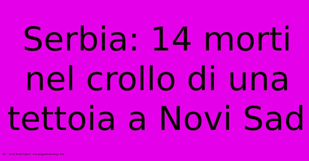 Serbia: 14 Morti Nel Crollo Di Una Tettoia A Novi Sad 