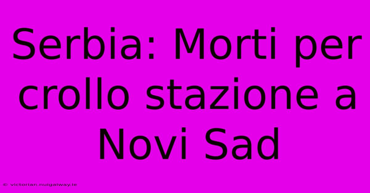 Serbia: Morti Per Crollo Stazione A Novi Sad