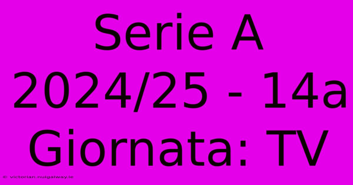 Serie A 2024/25 - 14a Giornata: TV