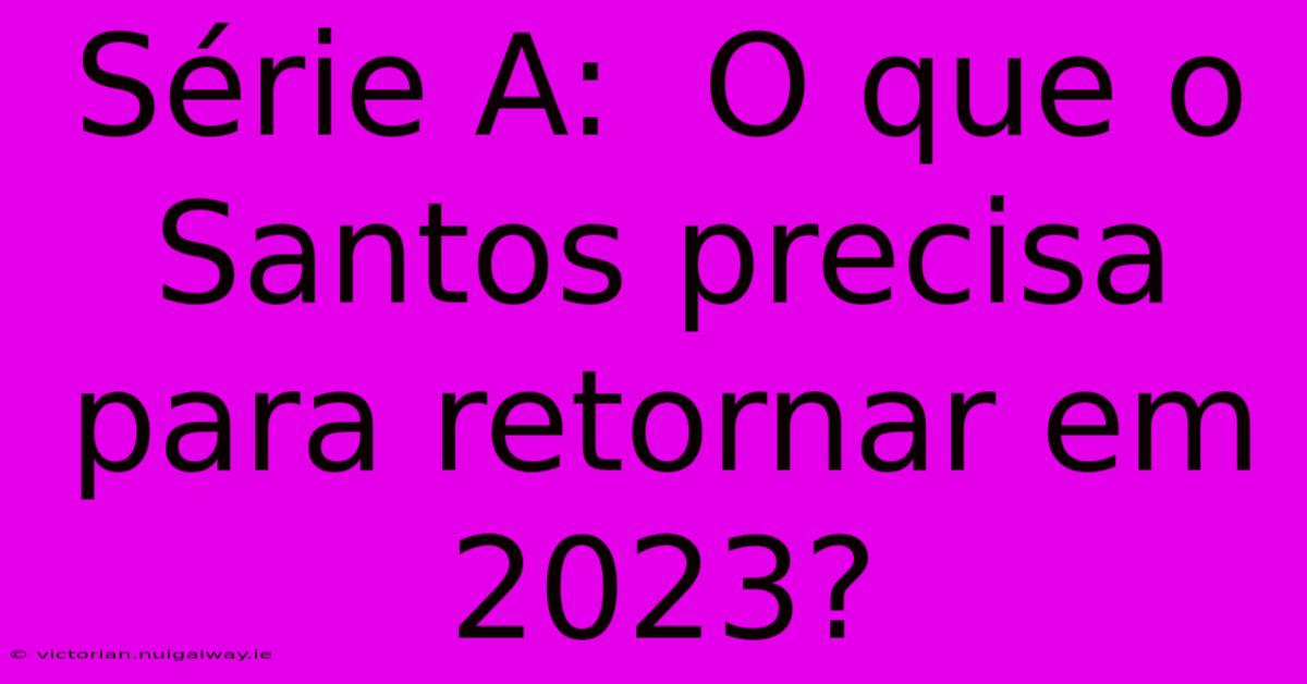 Série A:  O Que O Santos Precisa Para Retornar Em 2023?