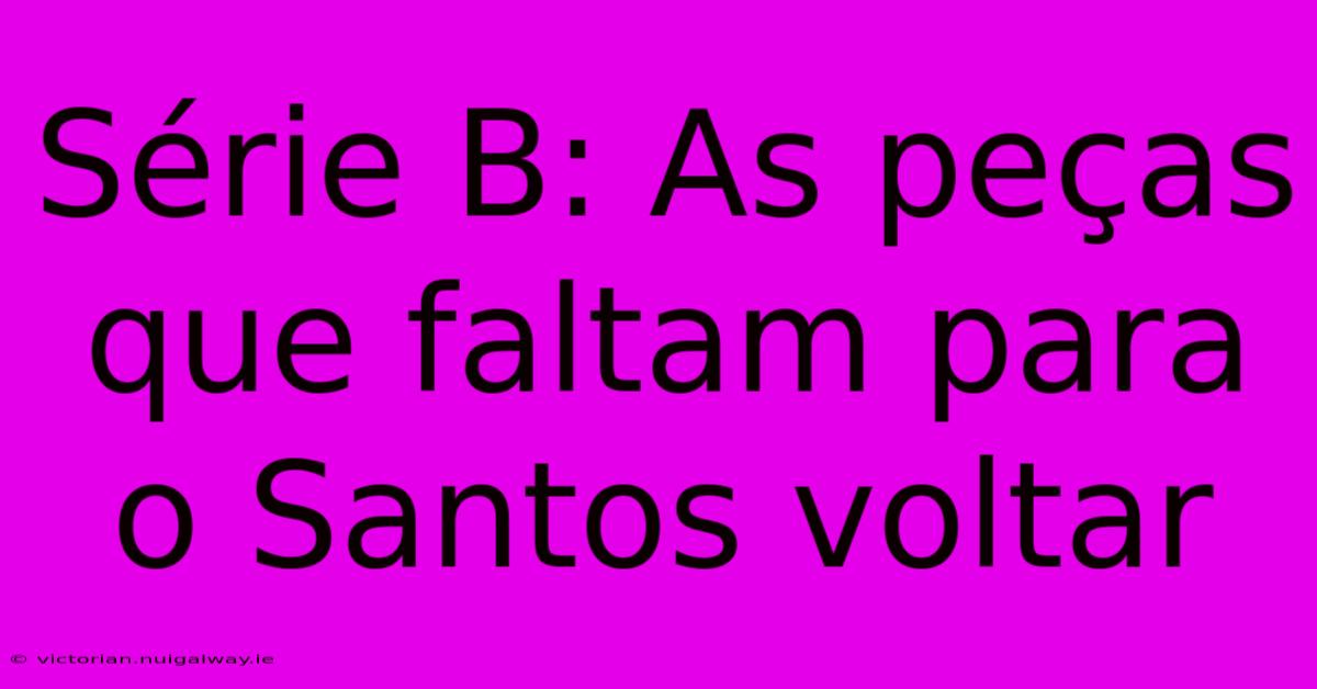 Série B: As Peças Que Faltam Para O Santos Voltar 