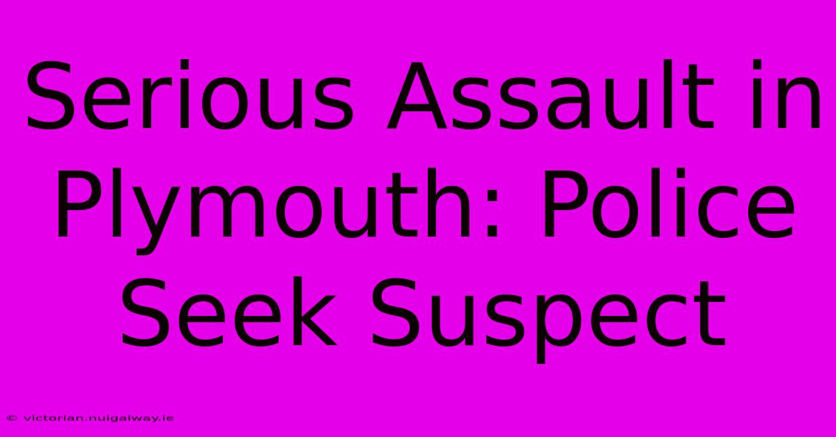 Serious Assault In Plymouth: Police Seek Suspect