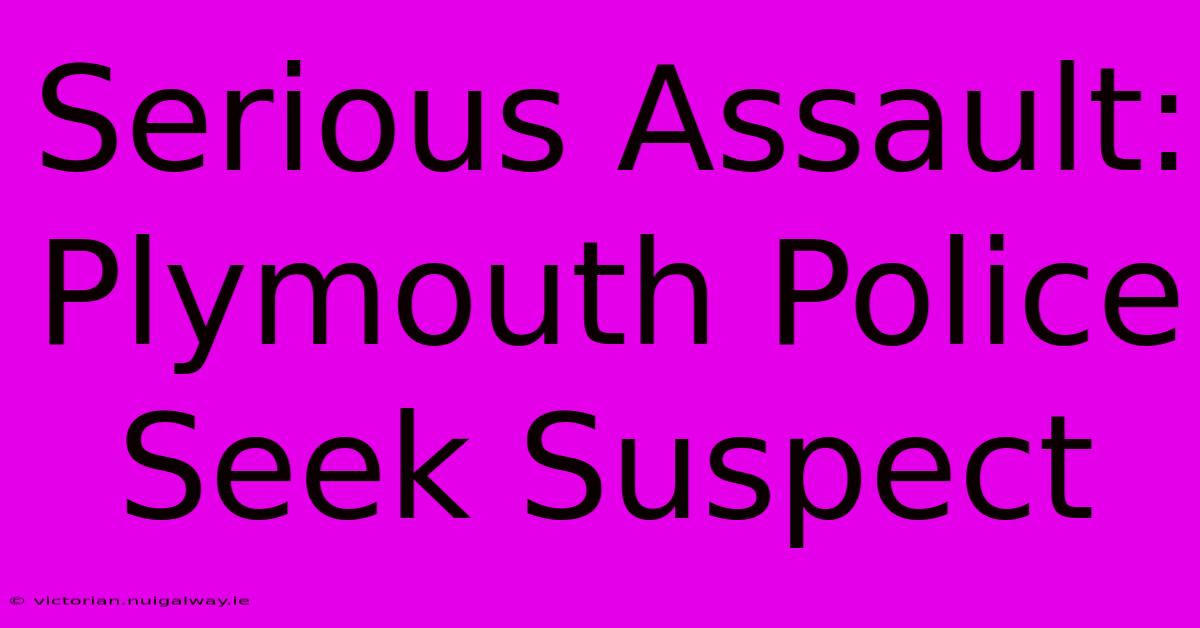 Serious Assault: Plymouth Police Seek Suspect