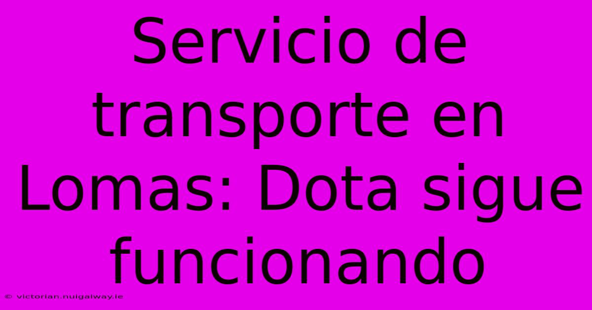 Servicio De Transporte En Lomas: Dota Sigue Funcionando