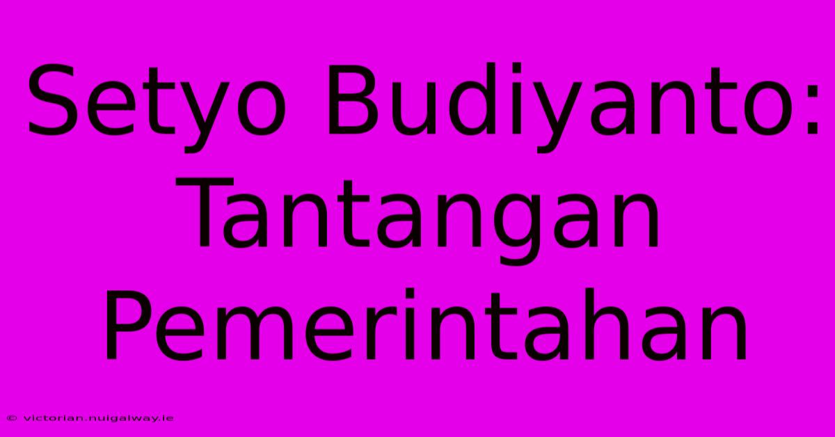 Setyo Budiyanto: Tantangan Pemerintahan