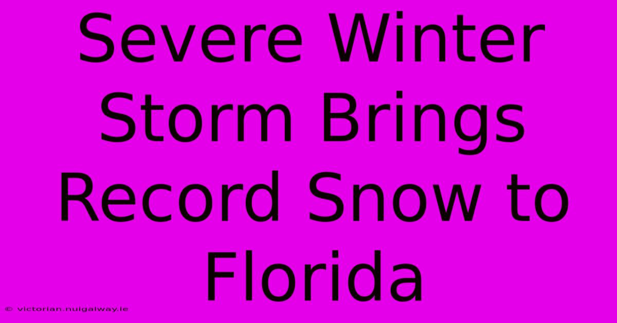 Severe Winter Storm Brings Record Snow To Florida