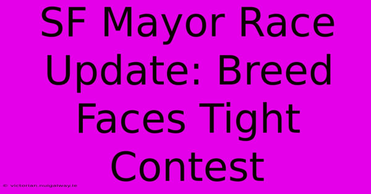 SF Mayor Race Update: Breed Faces Tight Contest