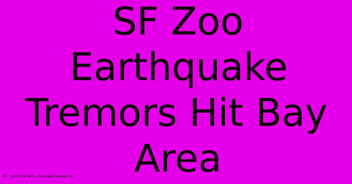 SF Zoo Earthquake Tremors Hit Bay Area