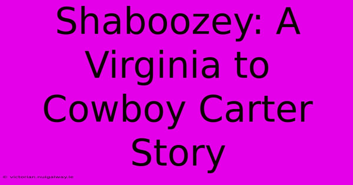 Shaboozey: A Virginia To Cowboy Carter Story